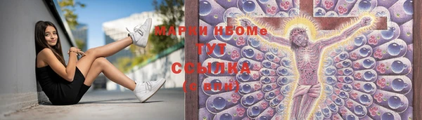соль ск Елизово