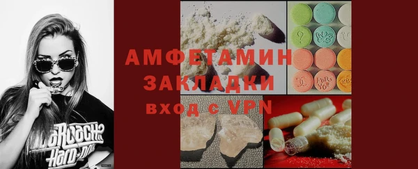 гидра Елабуга