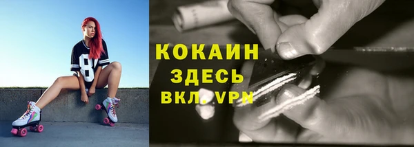 гидра Елабуга