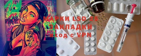 гидра Елабуга
