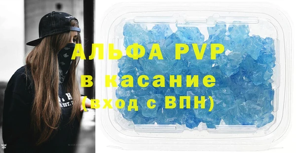 гидра Елабуга