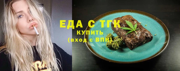 гидра Елабуга