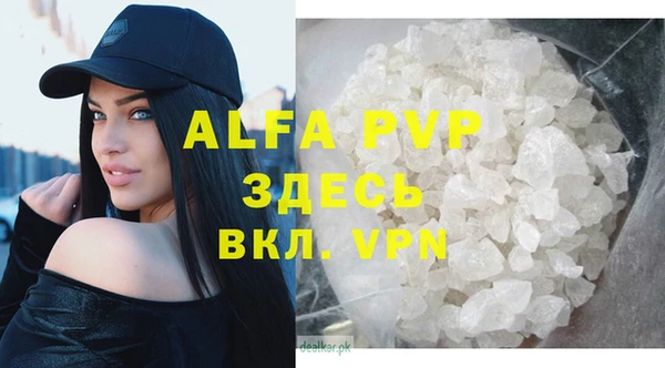 гидра Елабуга