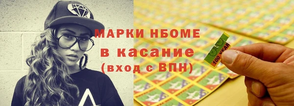 гидра Елабуга